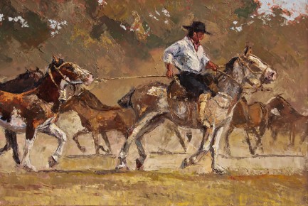 A tiro 40cm x 60cm
