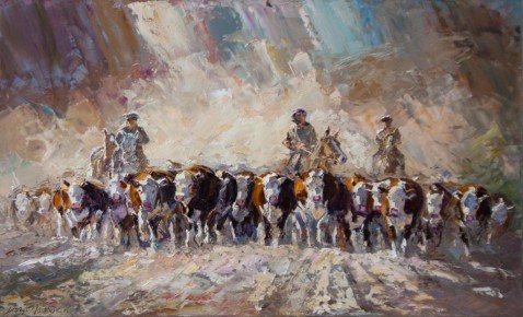 Arreo y luces 60cm x 100cm