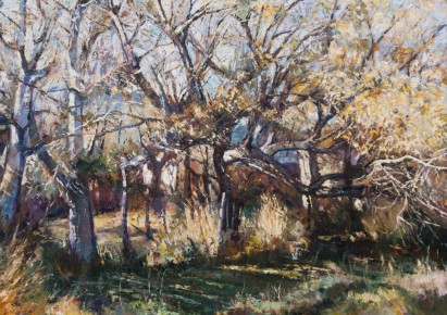 Colores de otoño 70cm x 100cm