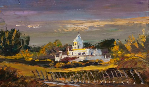Viñas de Salta 30cm x 50cm