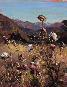 Cardos al sol 30cm x 24cm