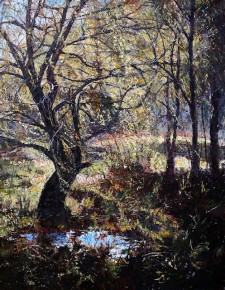Luz de Septiembre 120cm x 100cm