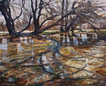 Primeros reflejos de primavera 80cm x 100cm