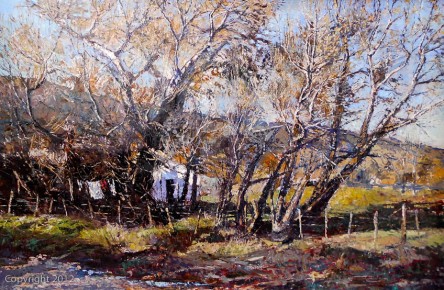 Ropa al sol 60cm x 90cm